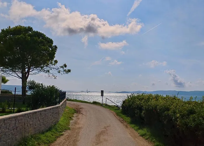 Seaside Serenity 