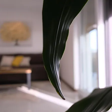 Appartement Seaside Serenity 