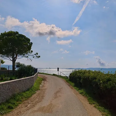 Seaside Serenity 